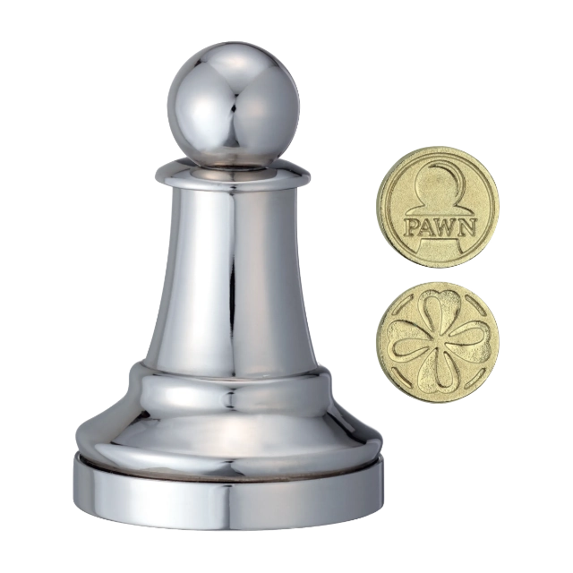 3D breinbreker puzzel van een schaak pion (zilver kleur) met verborgen munt.