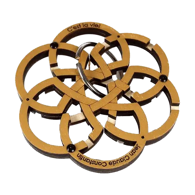 3D breinbreker puzzel C'est La Vie (Constantin)